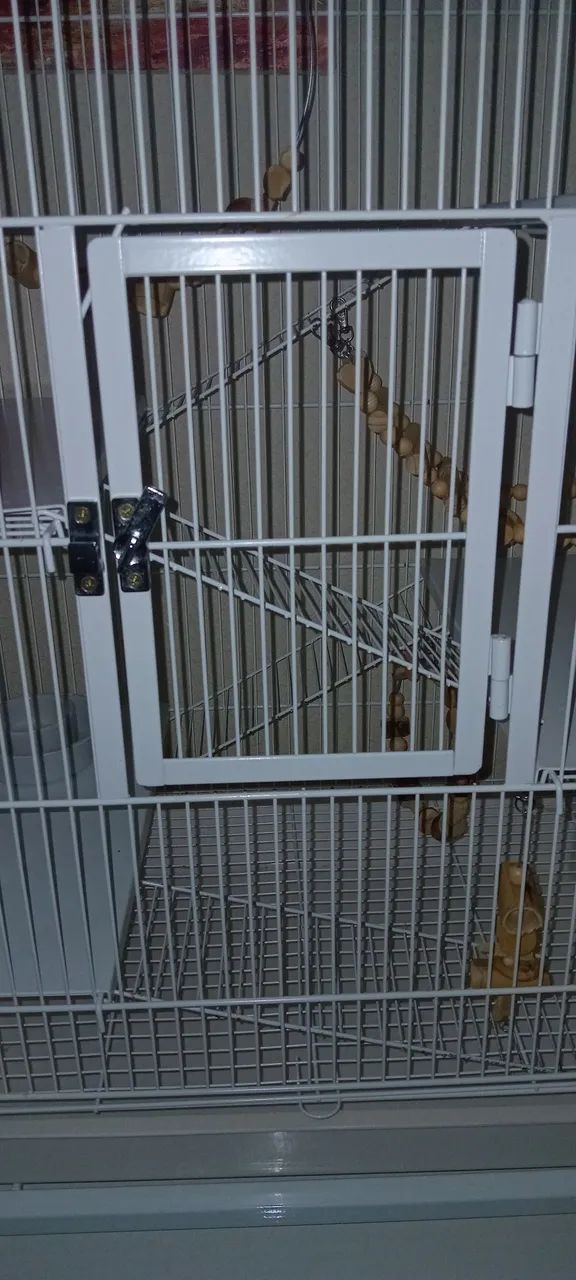 GAIOLA GAIOPAR 295 PARA RATOS TWISTERS - SEMI NOVA - Foto 2