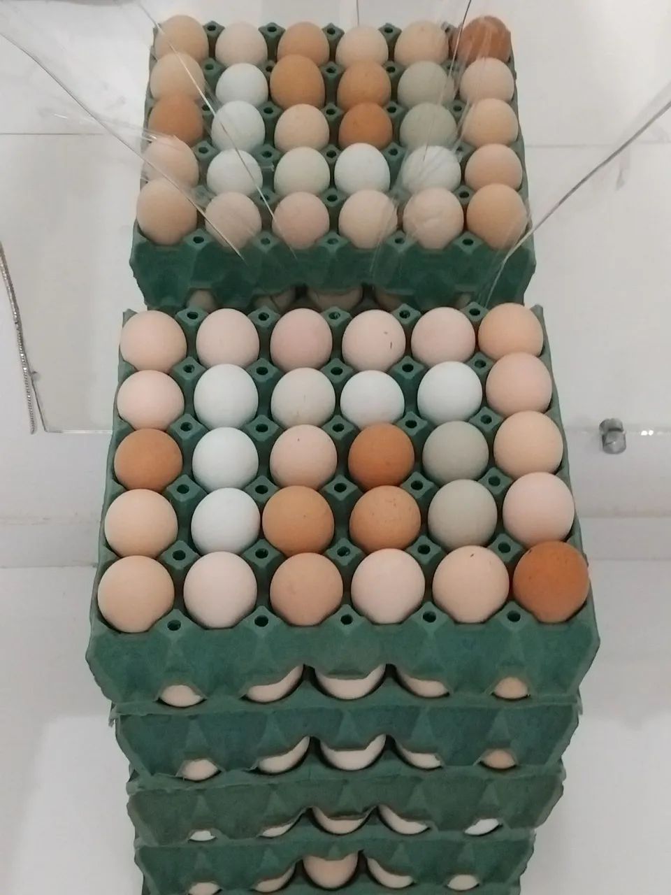 OVOS CAIPIRA PARA REVENDA