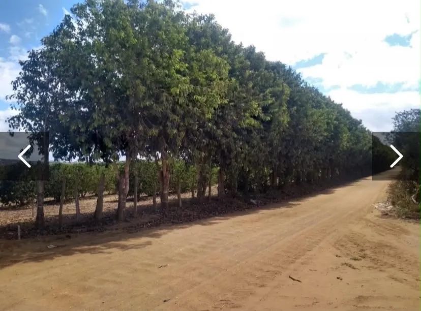Venda de Lote - Foto 2