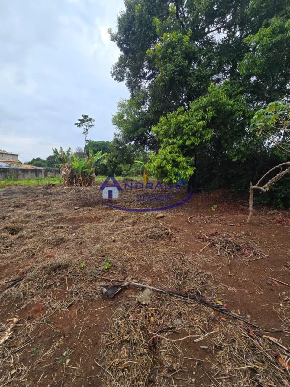 Casa com 2 quartos para alugar em Contagem - Foto 3