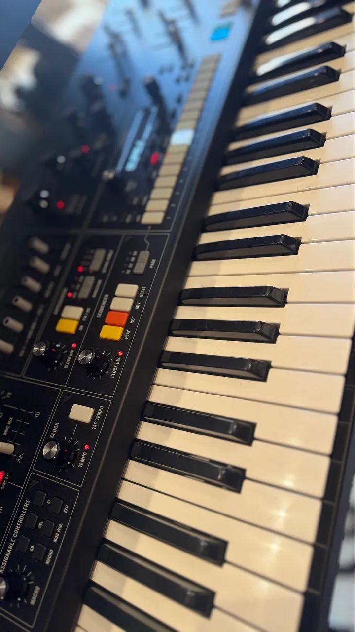 Moog Muse - Foto 4