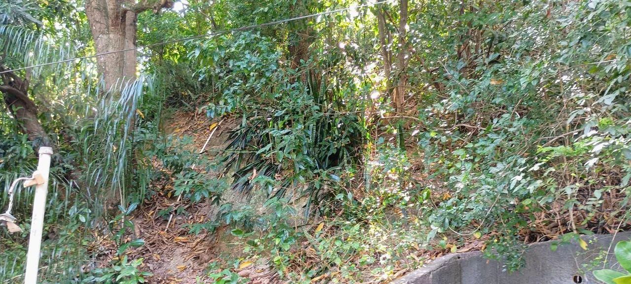 Terreno comercial com 2775 m2 - Foto 3