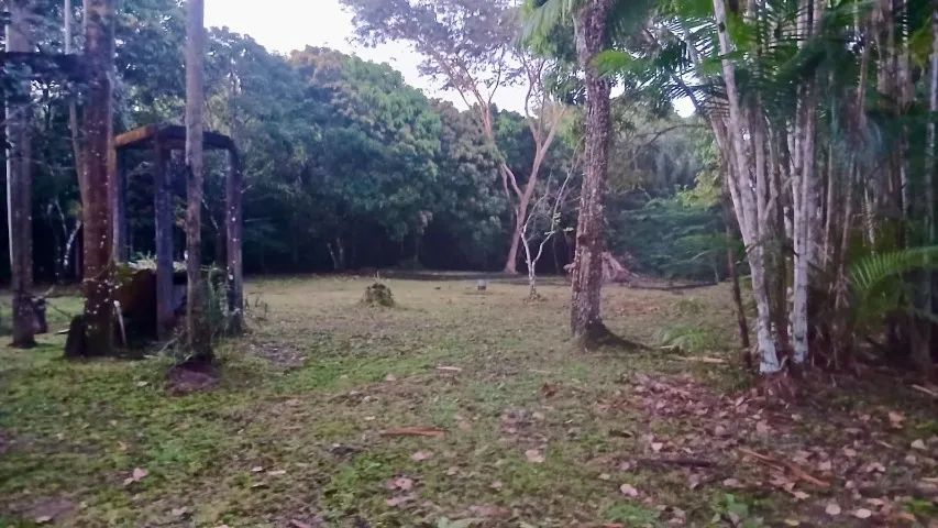 VENDE-SE SITIO COM MARINA Marina - Foto 10