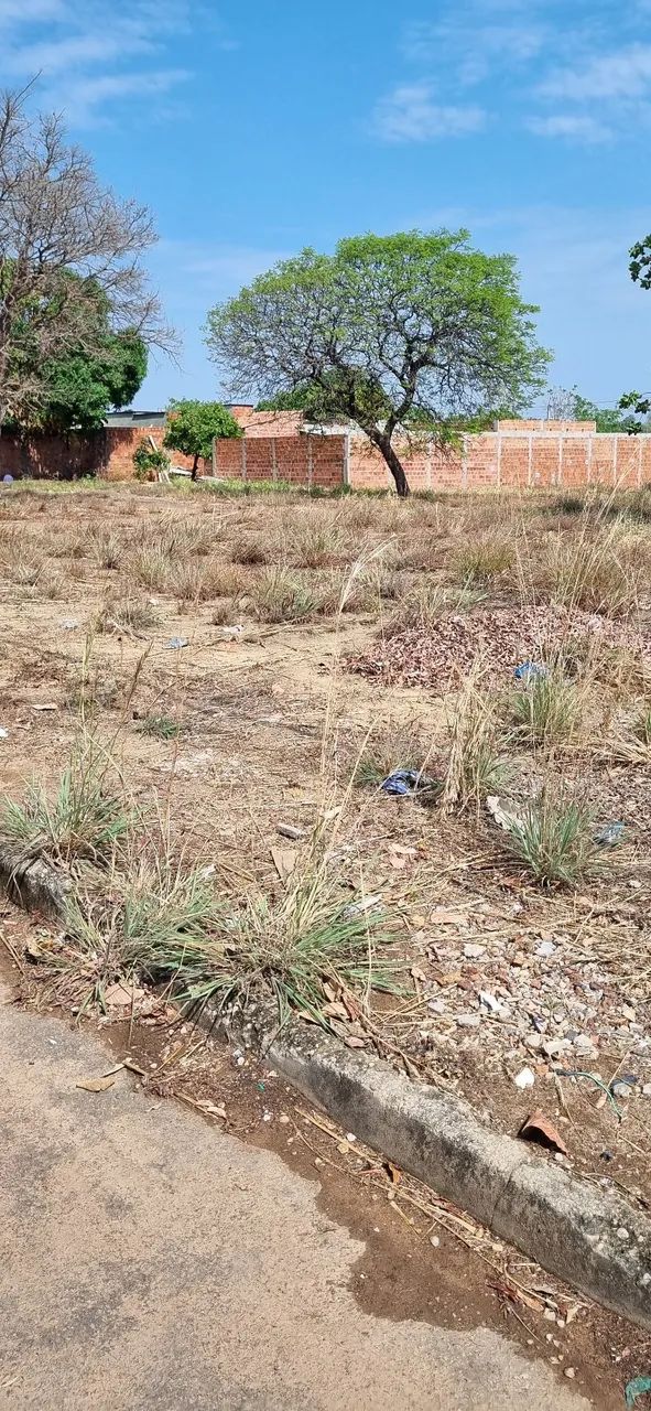 Lote Luzimangues Jardim do Porto 