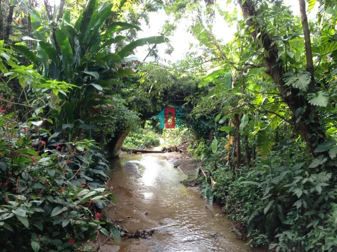 Vargem Grande | Terreno - Foto 3