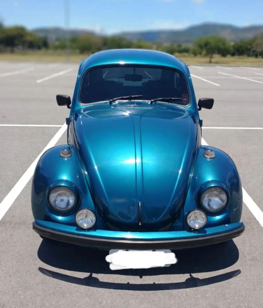 Volkswagen Fusca Fusca (gasolina) 1995