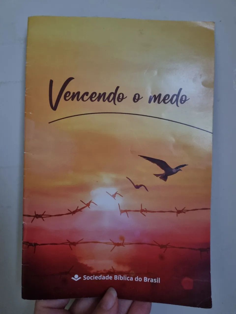 revista vencendo o medo