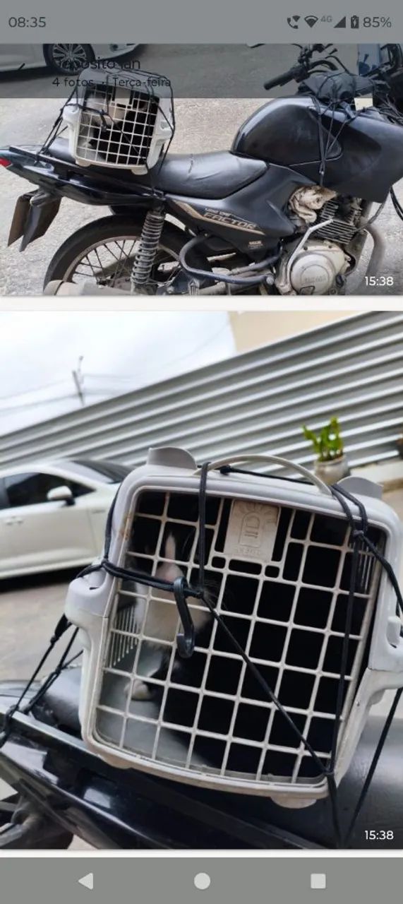 Transporte de animais de pequeno porte cachorro e gato  - Foto 3