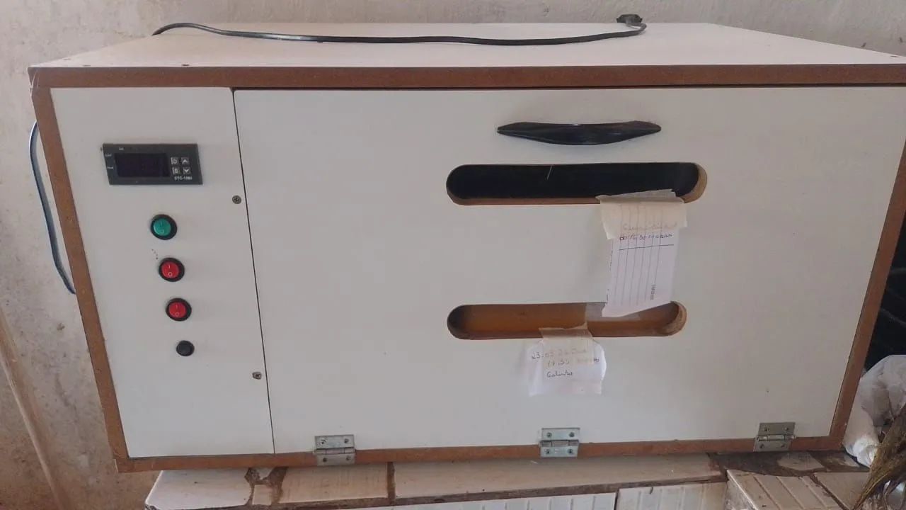 Chocadeiras com viragem dos ovos automática  - Foto 2