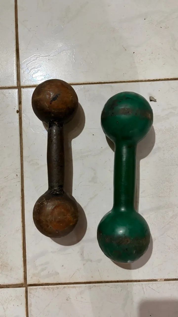 Halteres 