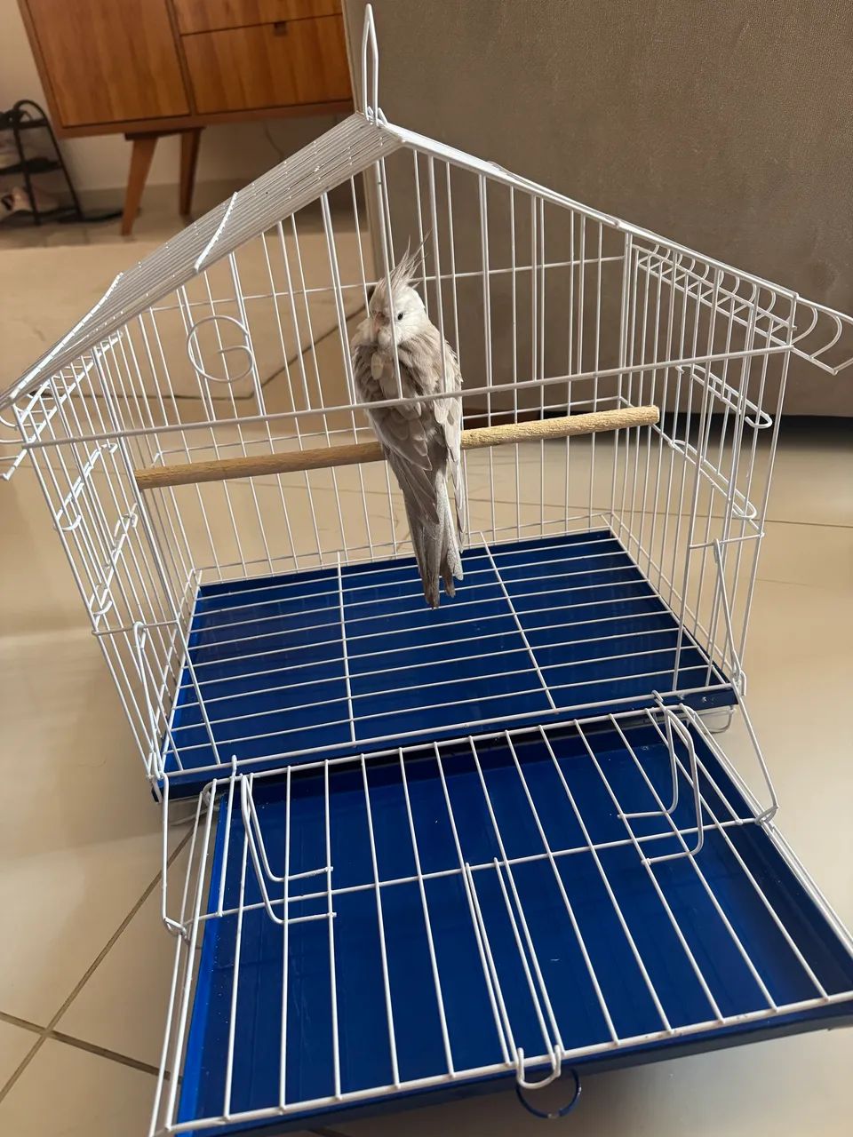Gaiola para pássaros - Foto 4