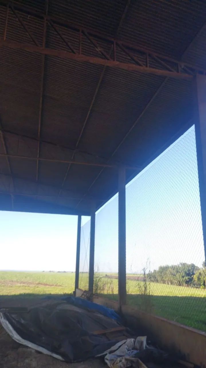Galpãos com telha 