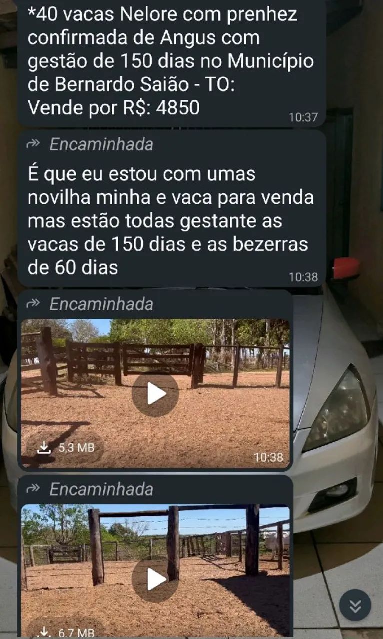 Gados