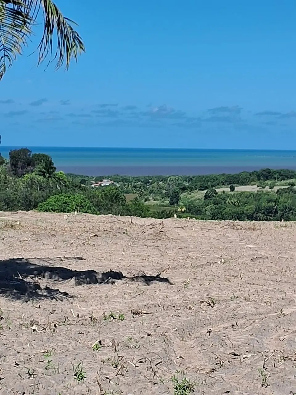 Lotes em Praia Bela ?  - Foto 5
