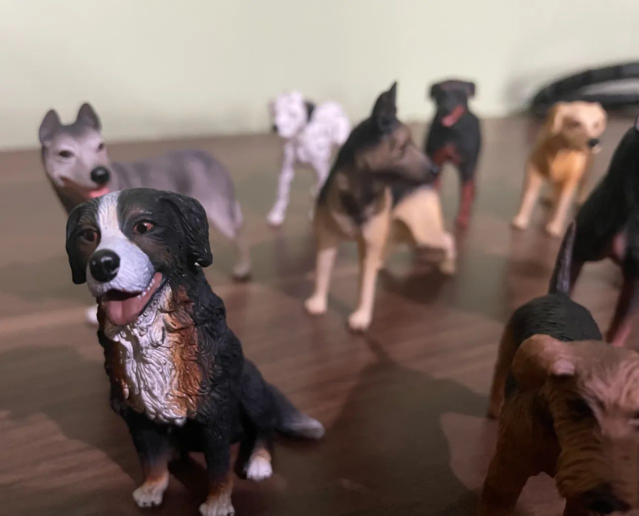 Coleção cachorros super notícia  - Foto 2