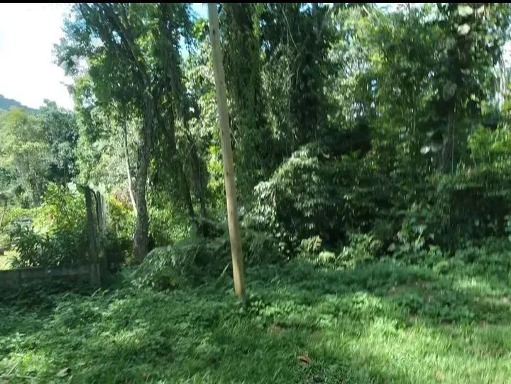 Foto - São José dos Campos - Conjunto Habitacional São José dos Campos A