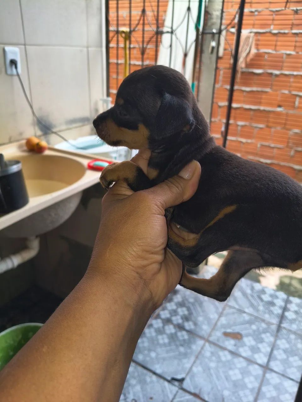 SO VENDAS
