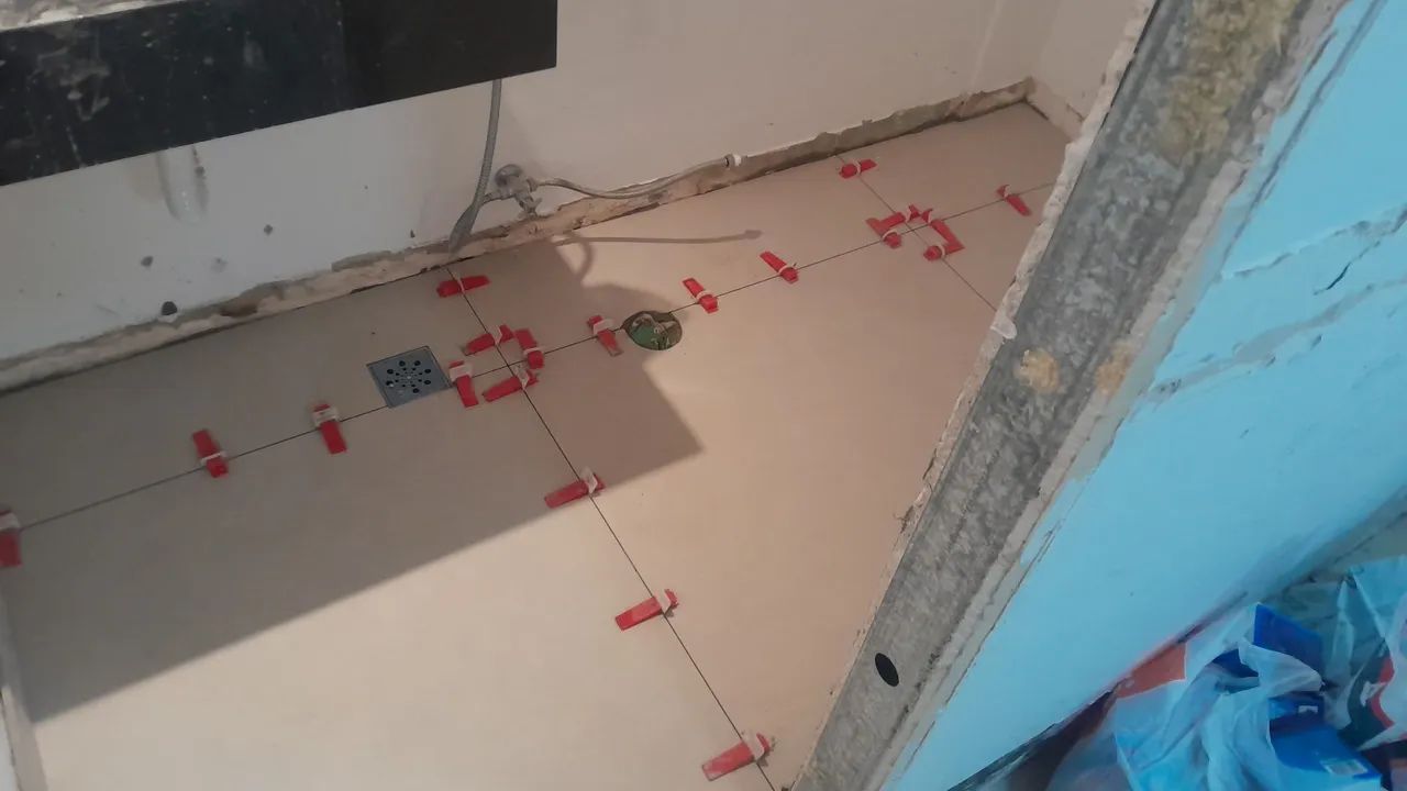 Azulejista  - Foto 3