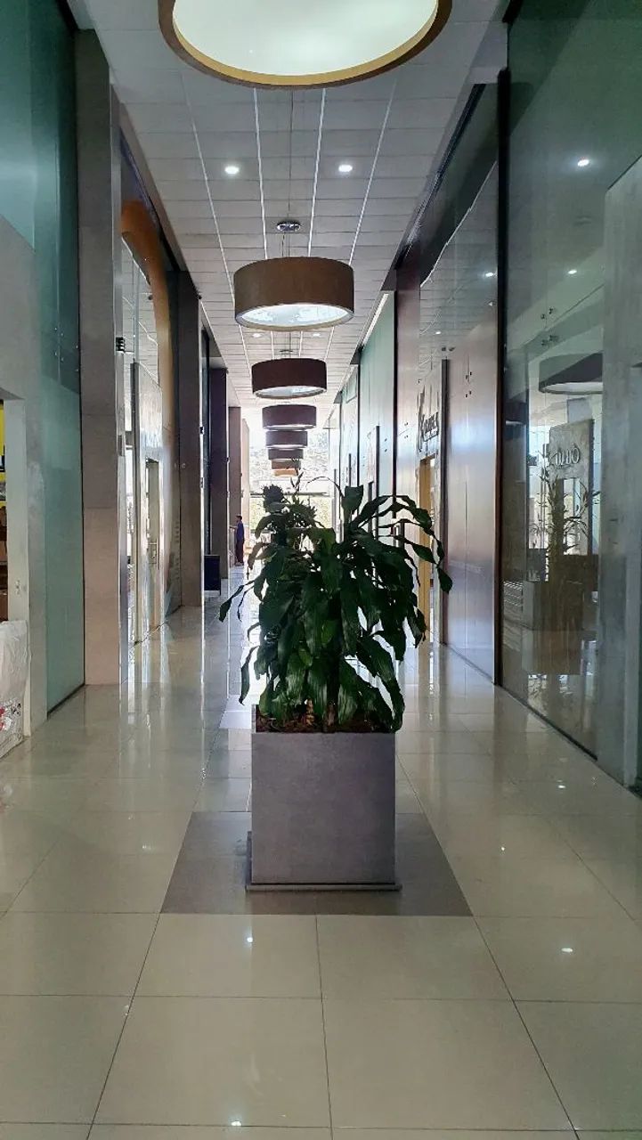 Sala Comercial - Foto 2