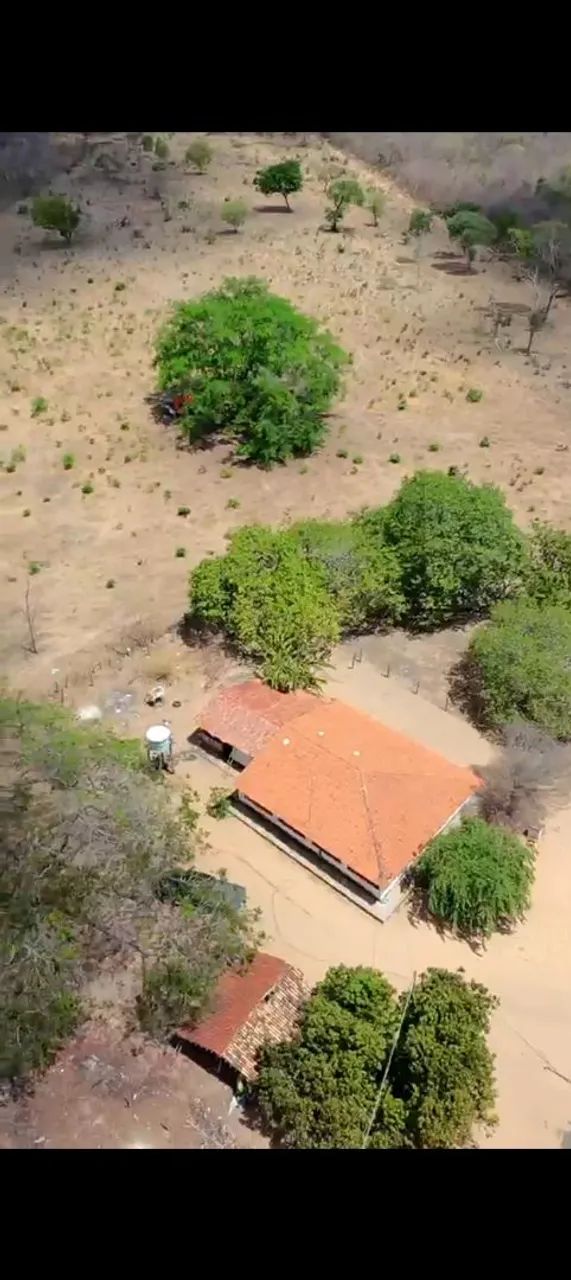 1.000 ha a venda no Piauí  - Foto 2