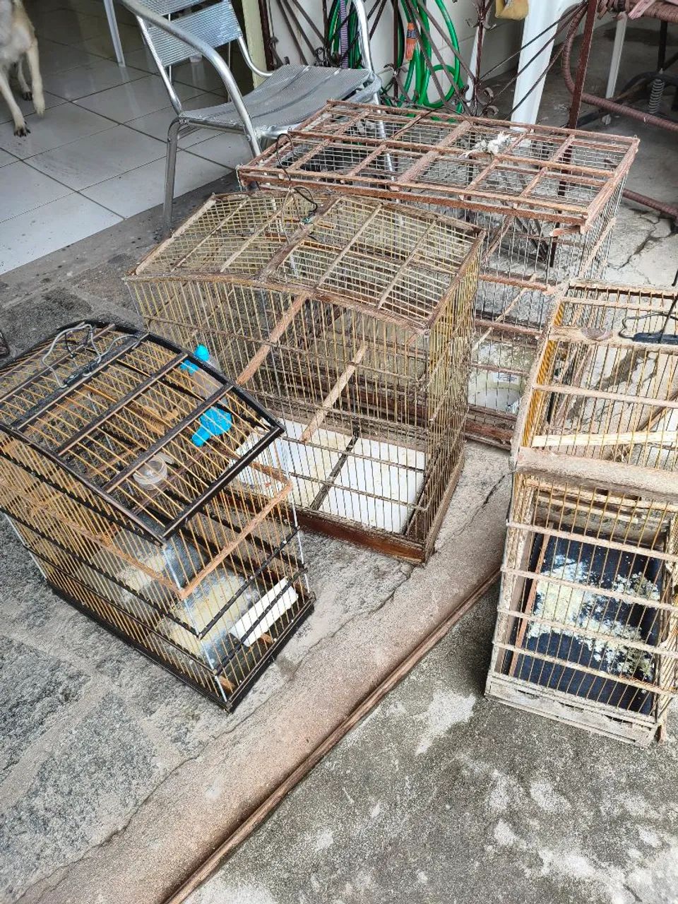 Gaiolas para Passarinhos  - Foto 2