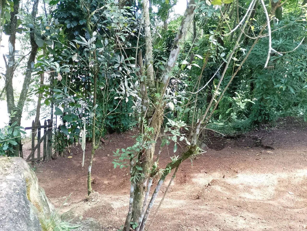 Terreno  - Foto 3