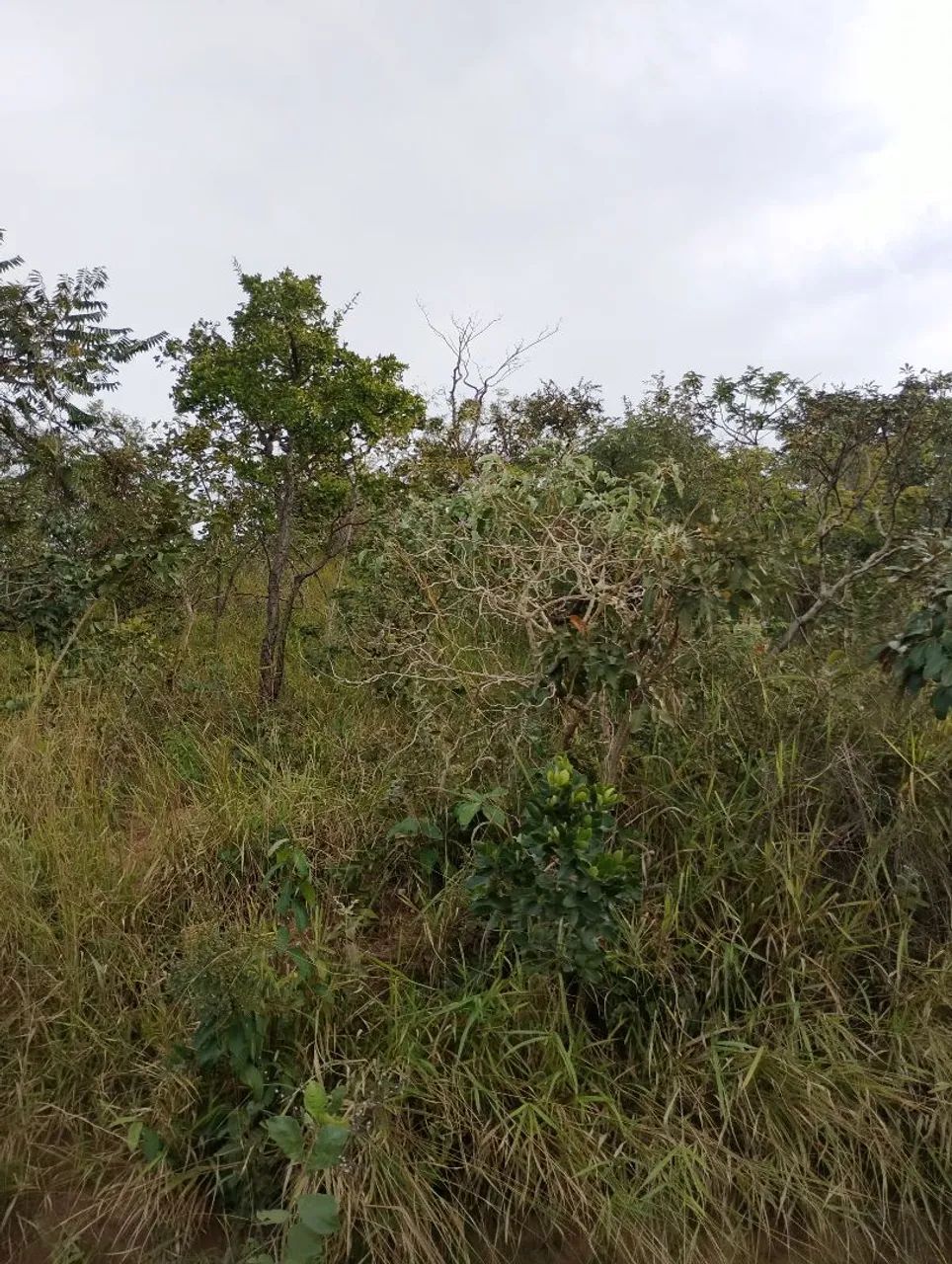 Terreno em Juatuba 