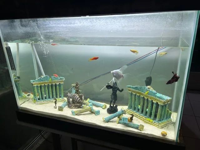 Aquário 120 litros - Foto 2