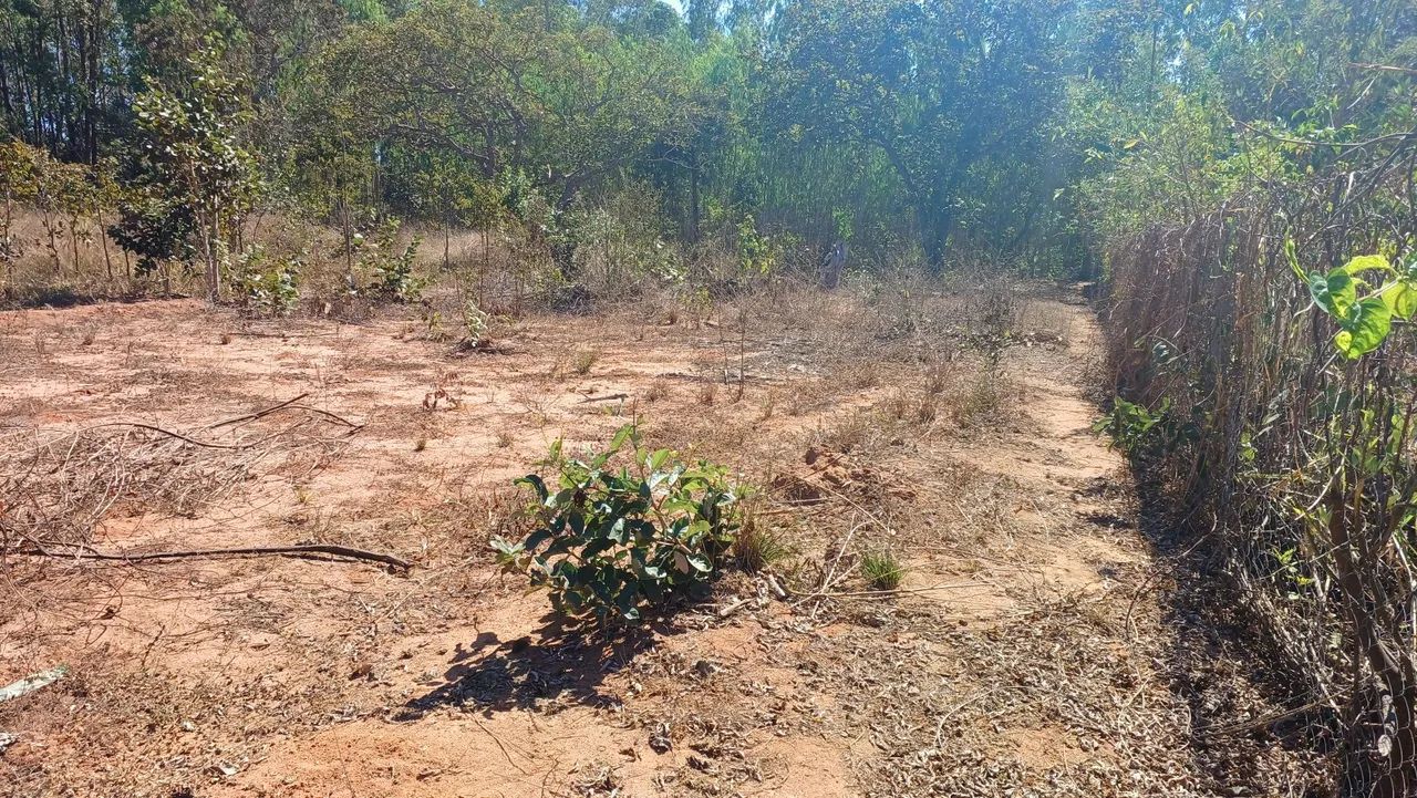 Lote em zona rural d lontra  - Foto 3