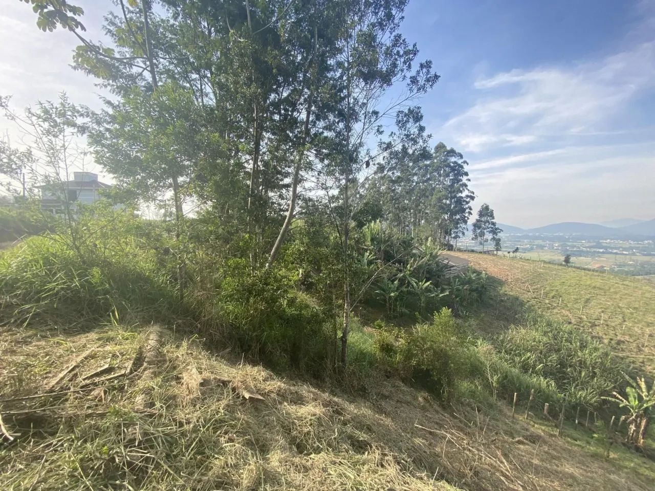 Terreno Santo Amaro à venda | XP1989 - Foto 2