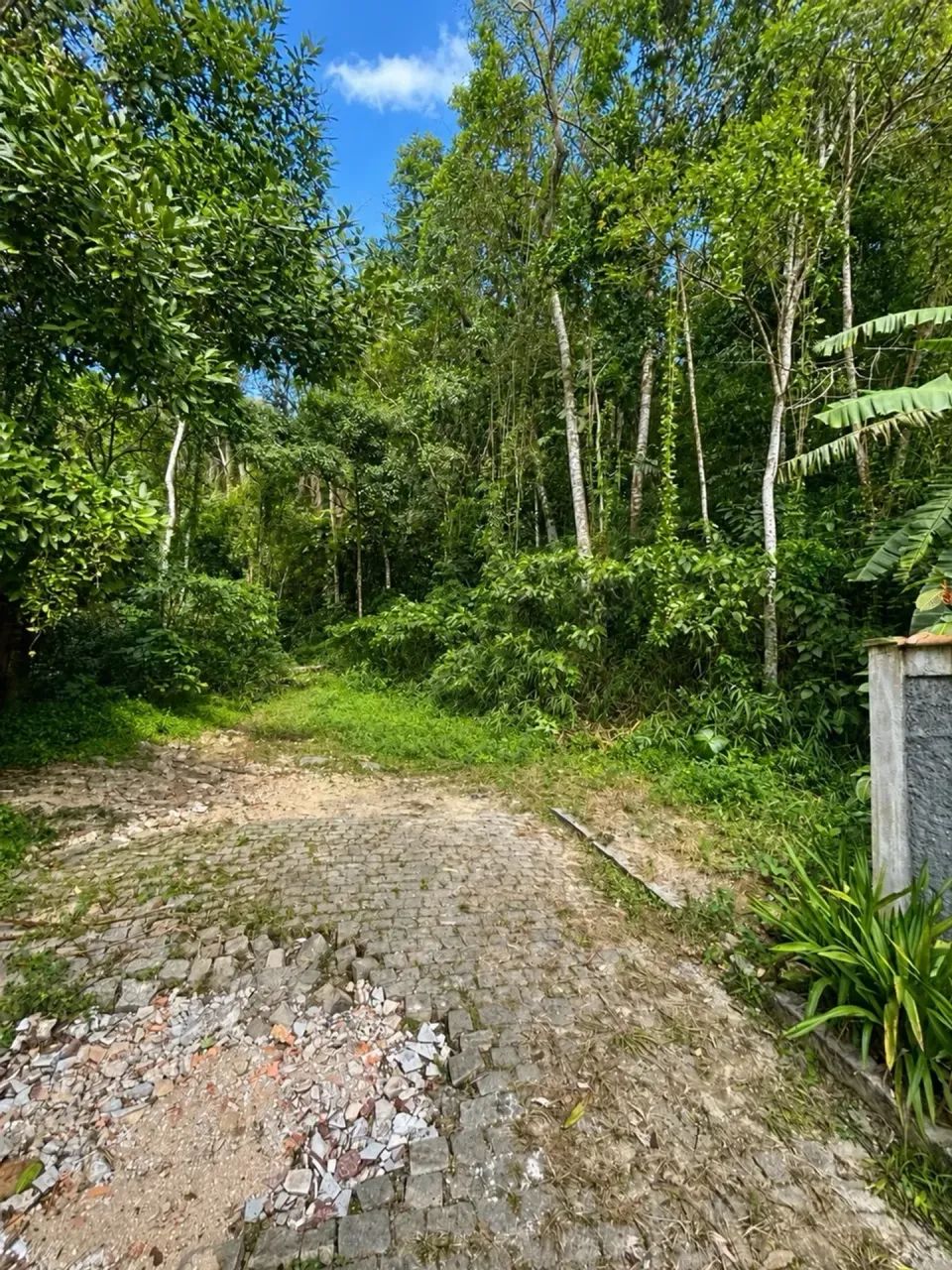 Terreno à venda com 330m² no Retiro, Petrópolis/RJ - Foto 3