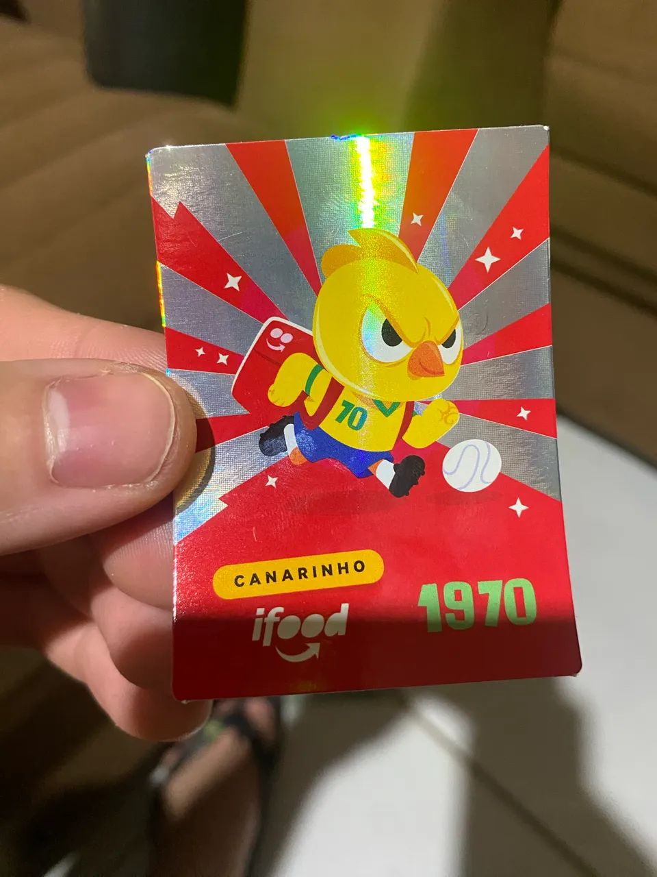 CANARINHO DE OURO - Foto 5