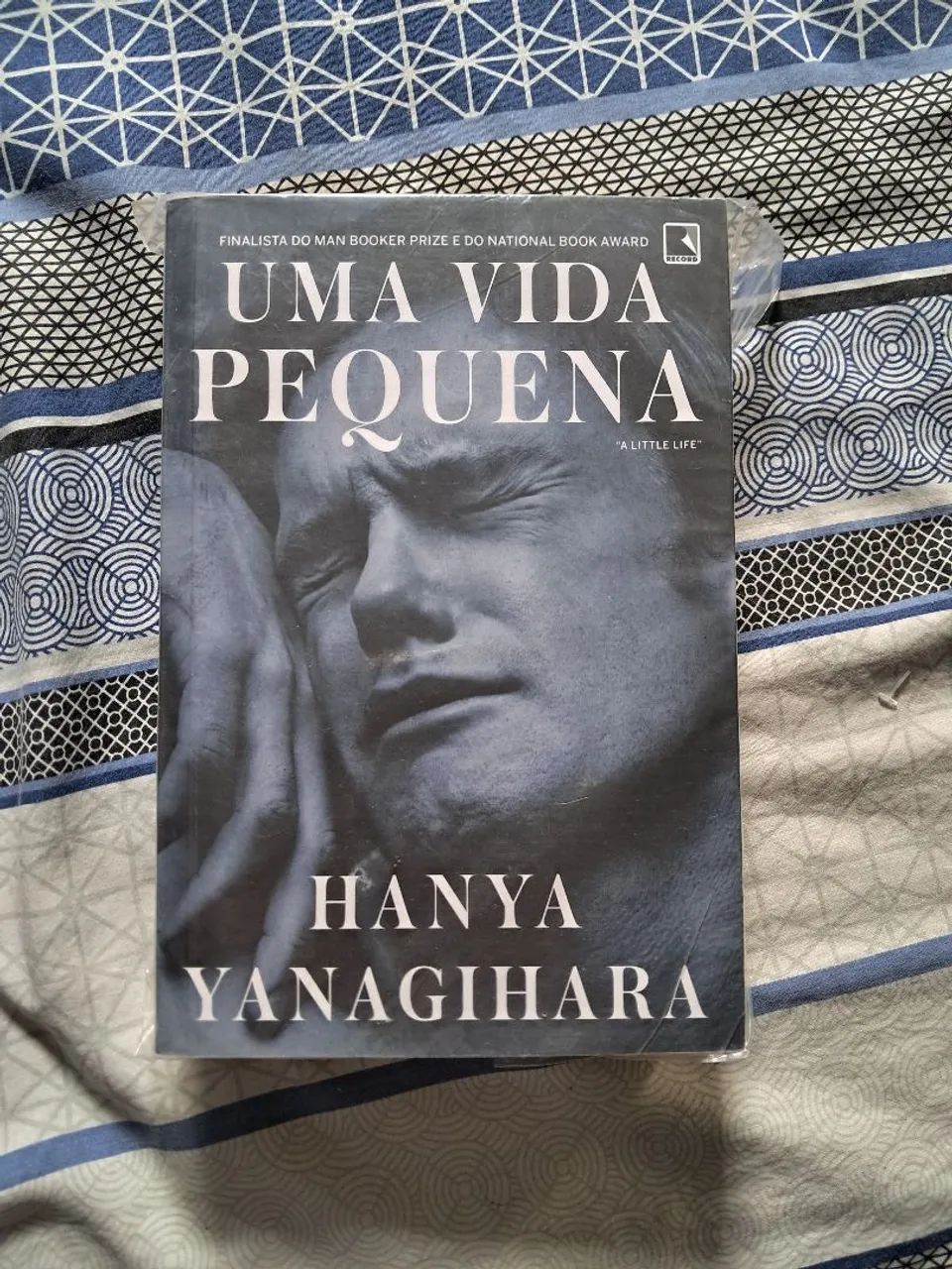 Uma Vida Pequena