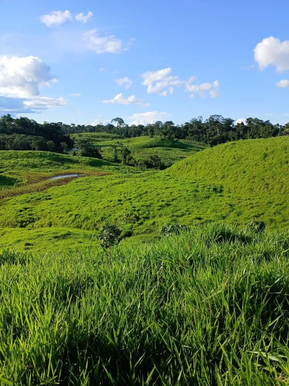 DOIS LOTES À VENDA EM FEIJÓ  - Foto 4