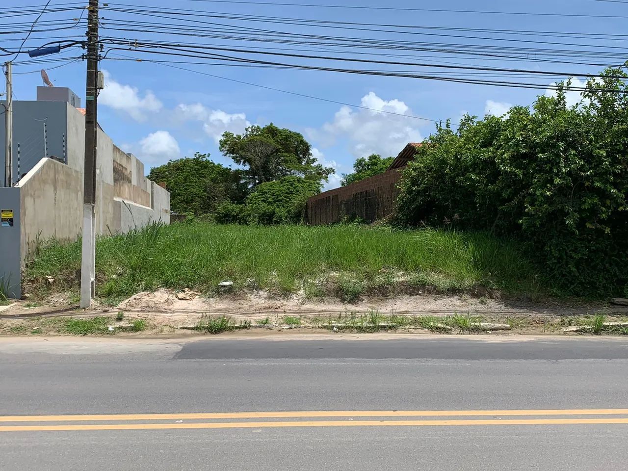  Terreno na santa amelia  - Foto 5