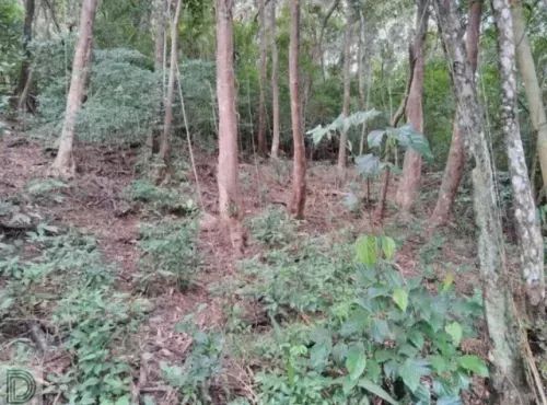 Foto - Embu das Artes - Embu Colonial