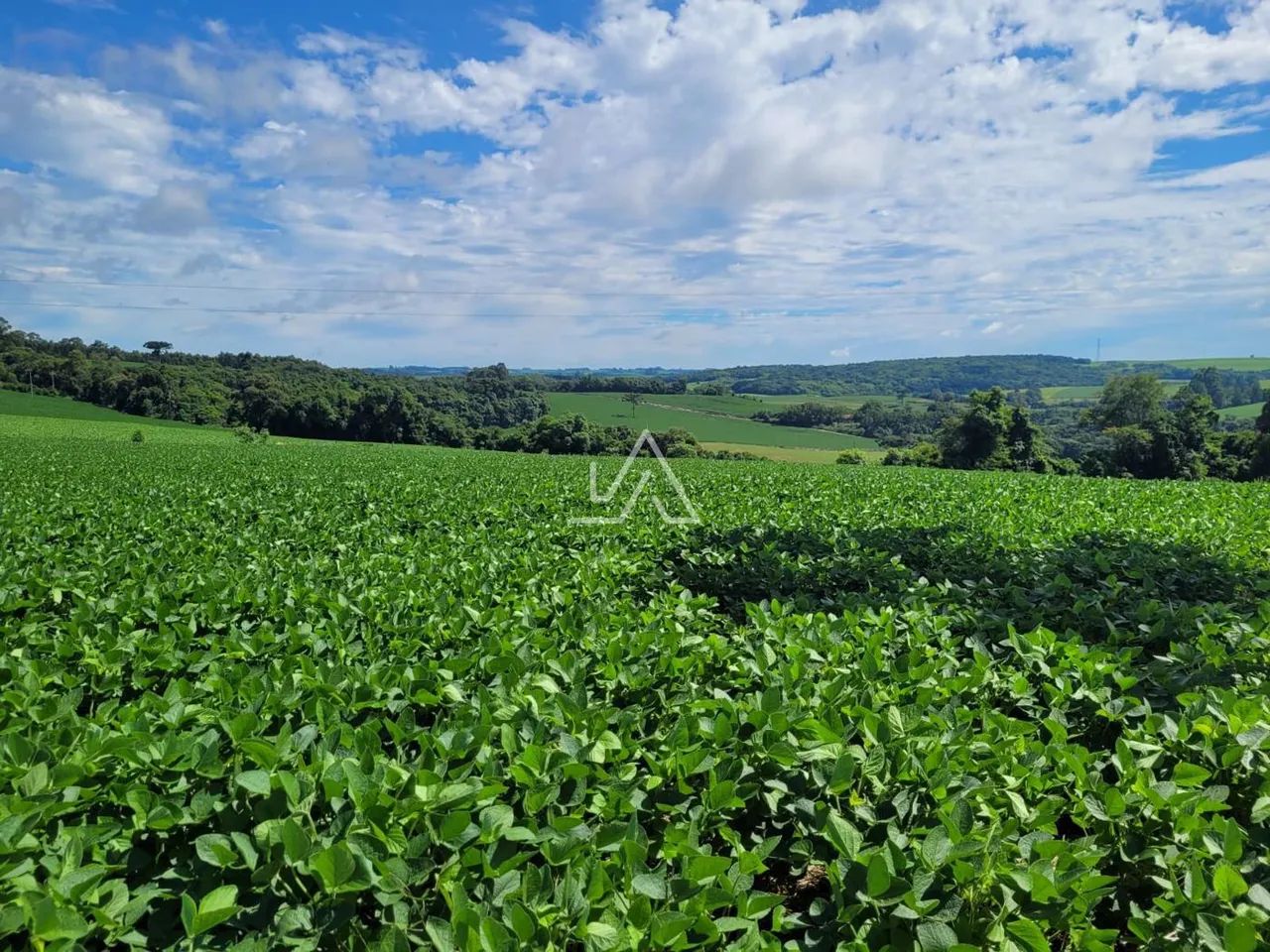 AREA SÃO BRAZ - Foto 3