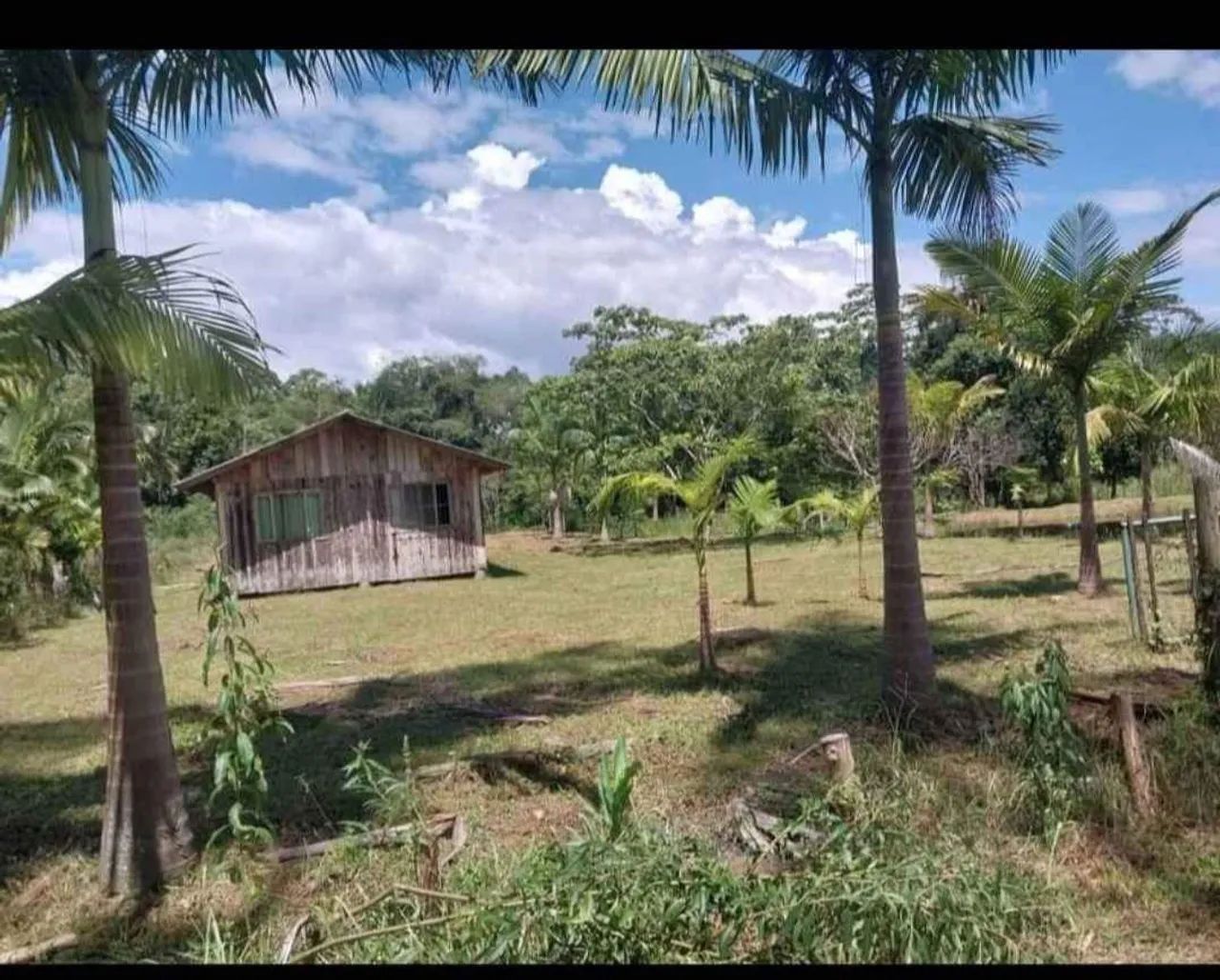 Sitio  - Foto 2