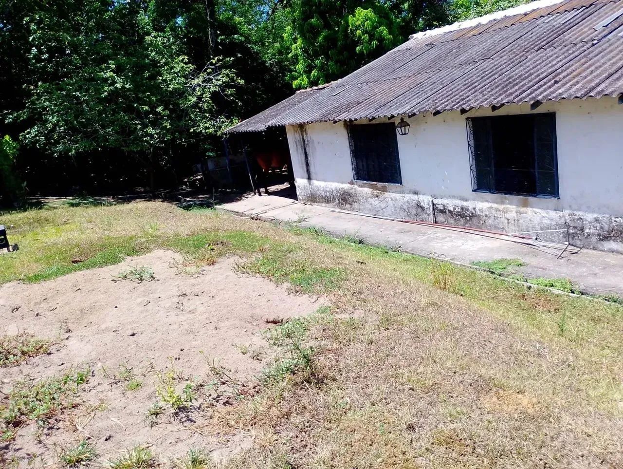 Sitio com 2800 m2 em Seropedica com casa de 4 qts - Foto 7