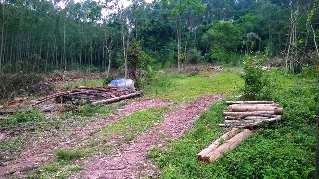 Sitio para Laser na Costa da Serra - Montenegro - 18 - Foto 16