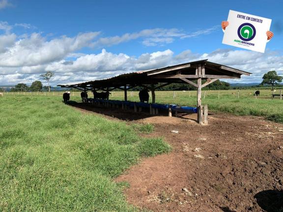 Sítio na região do olho d´agua - Foto 6
