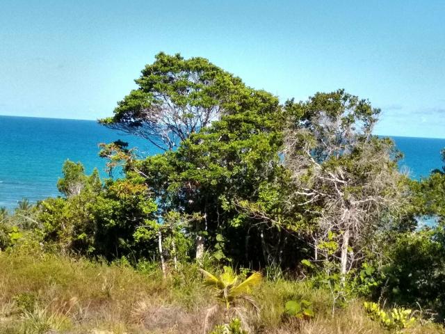Lotes em Arraial D ajuda, com vista mar e sem visita próximo da Pitinga - Foto 6
