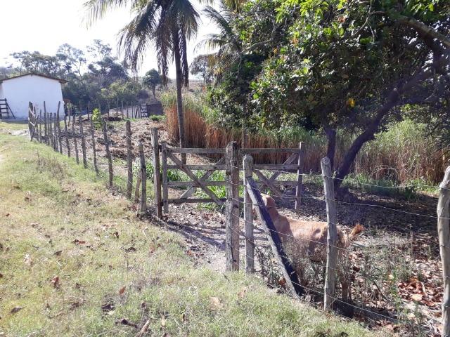 Sítio com 16 hectare em Gravatá-PE Ref.32 - Foto 15