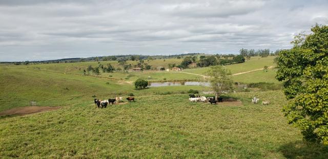 Fazenda a venda no extremo sul da bahia 170 ha - Foto 9