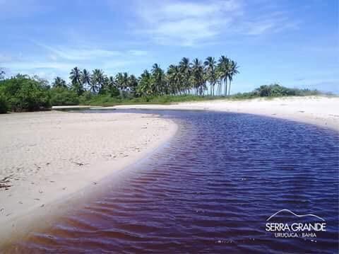 Aluguel De Sítio KM 24, Ilhéus - Serra Grande - Foto 15