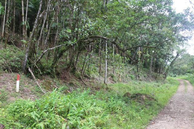 Área em Morretes - Foto 13