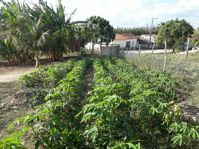 Chácara com linda casa dentro - Foto 20