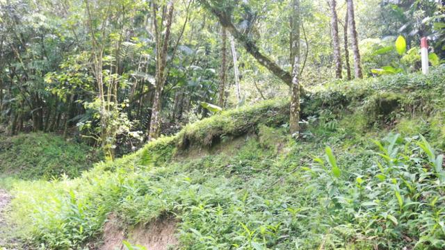 Área em Morretes - Foto 16