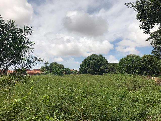 Vendo área na Estrada de Ribamar(6 Hectares) - Foto 2