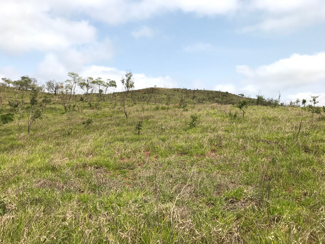 GL23/ Vende-se Lotes de 1000 metros em Mairinque SP - Foto 10